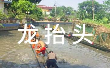 龙抬头祝福语