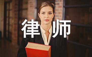 律师年度工作总结