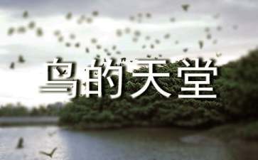 鸟的天堂教案（通用9篇）