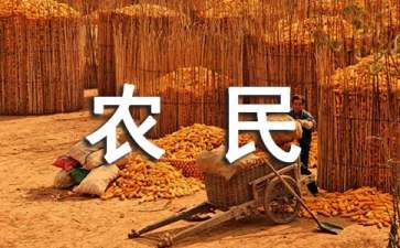 农民工工资保障承诺书范文