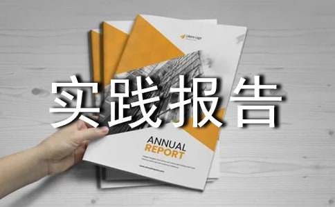 初中生社会实践报告