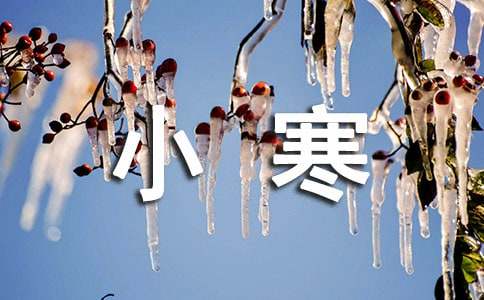 小寒节气吃什么食物