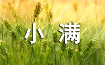 小满节气吃什么食物