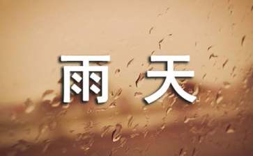 大班美术雨天教学计划及反思