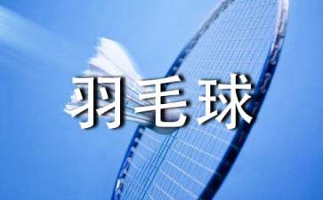 国际羽毛球单打规则
