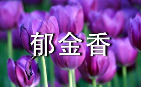 郁金香什么时候开花