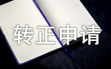 it技术转正申请书