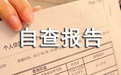 制度落实年活动自查报告