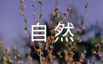 美丽的大自然大班教案