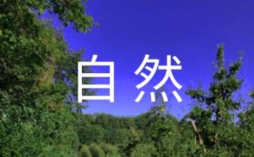 关于节约自然资源的建议书