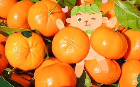橘子味的夏天读后感15篇