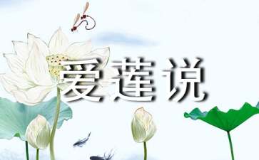 爱莲说读后感
