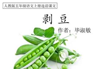 剥豆豆亲子游戏推荐
