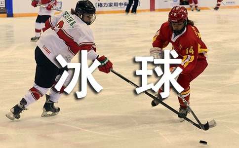 冰球规则是什么