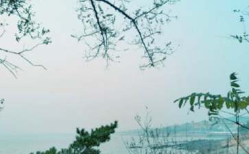 春风小班教案模板