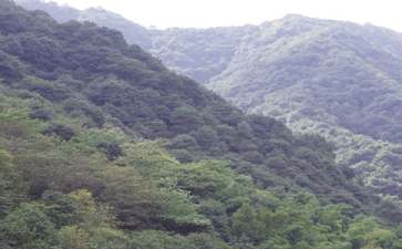 大山洞,小山洞睡前故事
