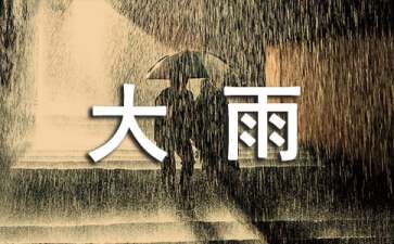 大雨小雨教案（通用15篇）