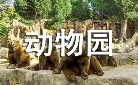 去动物园小班综合活动教案