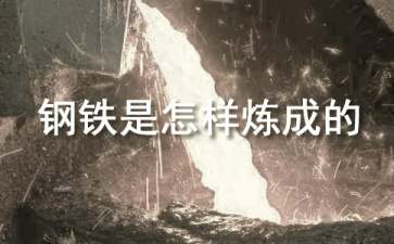 钢铁是怎样炼成的读后感集锦15篇