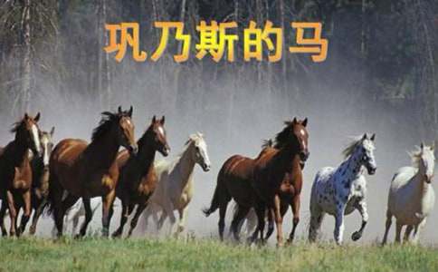 巩乃斯的马读后感