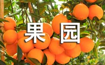 果园农药使用注意事项