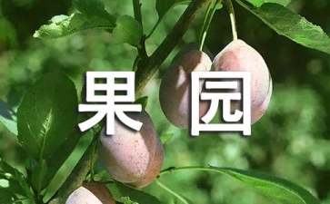 《果园机器人》教案