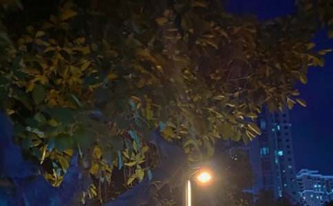 白天黑夜小班教案