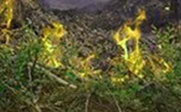 火灾来了我不怕大班教案