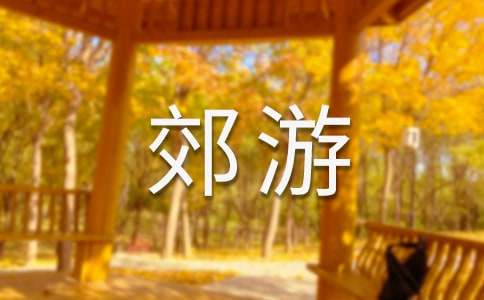 大班社会活动郊游教案