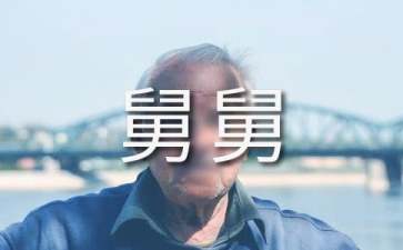 《丁克舅舅》读后感（通用16篇）