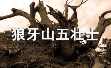 《狼牙山五壮士》读后感(15篇)