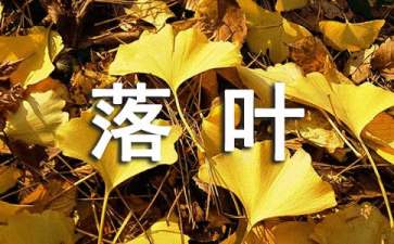 大班语言活动教案：落叶（精选10篇）