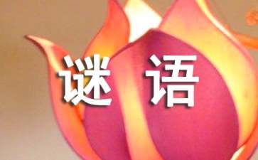 猜谜语的方法有哪些