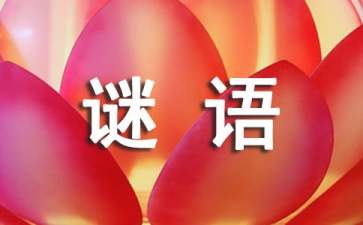 猜四字谜语方法