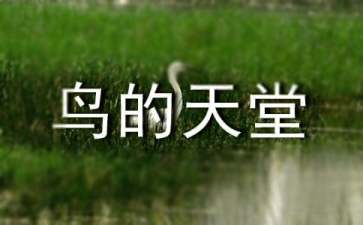 【精品】鸟的天堂教案三篇