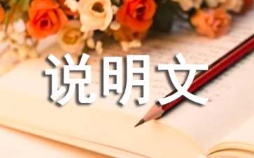 说明文标题有什么作用