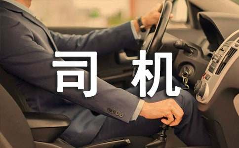 我是小司机幼儿教案