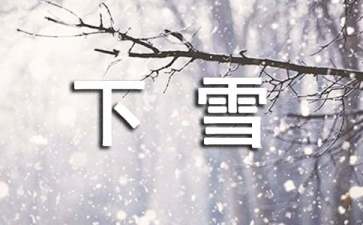 下雪天开车注意事项有哪些