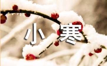 小寒节气吃什么蔬菜
