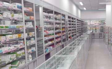 大班语言活动河马水果药店教案