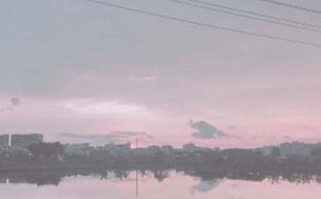 鱼塘钓鲤鱼技巧