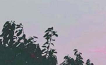 【必备】新版早安微信问候语24句