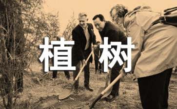 植树造林保护环境建议书(6篇)