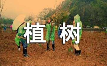 有关植树演讲稿