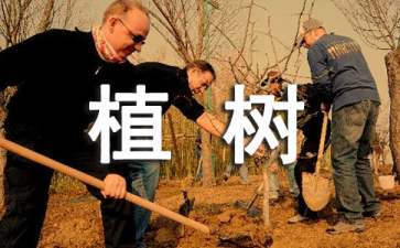 《植树造林》幼儿大班说课稿