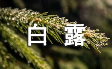 白露时节的小常识