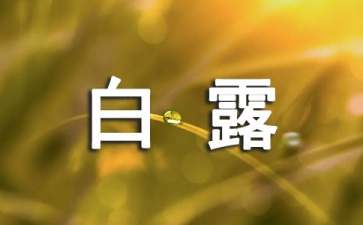 白露节气的钓鱼技巧有哪些