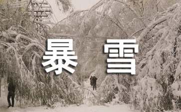 猎犬暴雪读后感