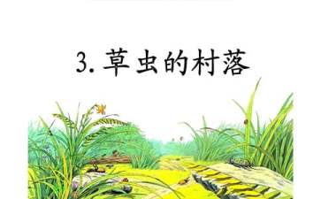 草虫的村落教学反思（精选5篇）