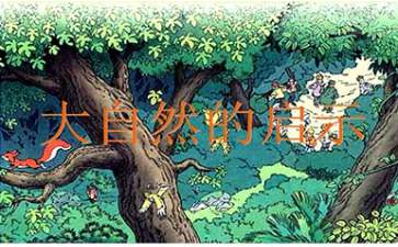 大自然的启示教学反思